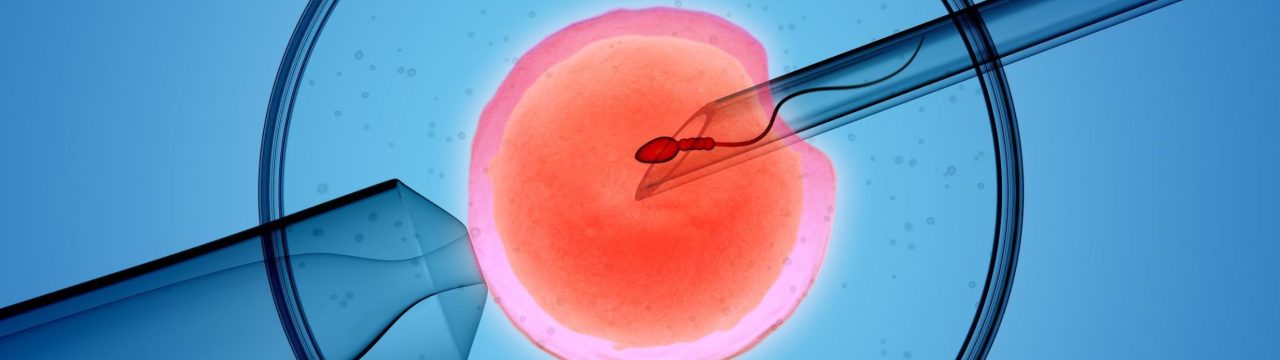 ivf23 ivf23